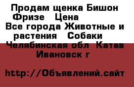 Продам щенка Бишон Фризе › Цена ­ 30 000 - Все города Животные и растения » Собаки   . Челябинская обл.,Катав-Ивановск г.